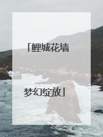 鲤城花墙 梦幻绽放