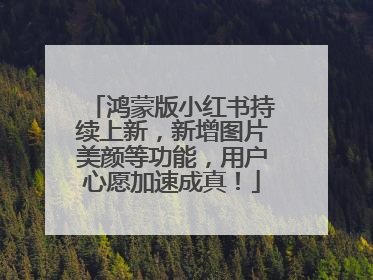 鸿蒙版小红书持续上新，新增图片美颜等功能，用户心愿加速成真！