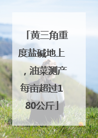 黄三角重度盐碱地上，油菜测产每亩超过180公斤