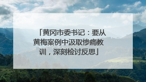 黄冈市委书记：要从黄梅案例中汲取惨痛教训，深刻检讨反思