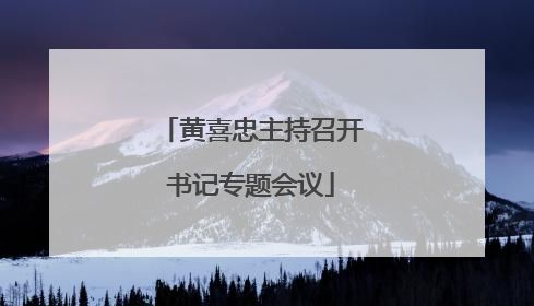 黄喜忠主持召开书记专题会议