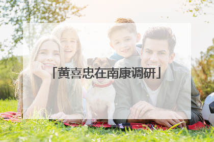 黄喜忠在南康调研