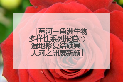 黄河三角洲生物多样性系列报道①湿地修复结硕果 大河之洲展新颜