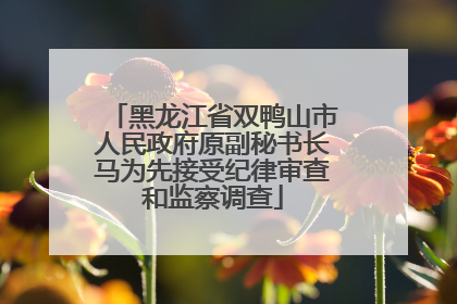 黑龙江省双鸭山市人民政府原副秘书长马为先接受纪律审查和监察调查