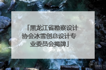 黑龙江省勘察设计协会冰雪创意设计专业委员会揭牌