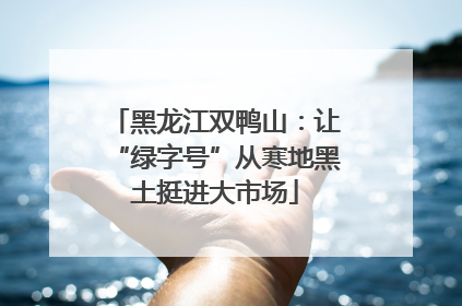 黑龙江双鸭山：让“绿字号”从寒地黑土挺进大市场
