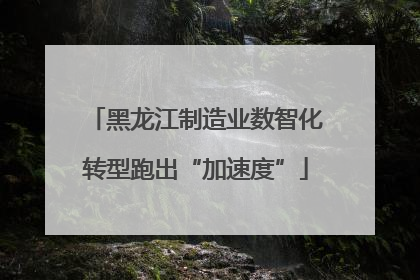 黑龙江制造业数智化转型跑出“加速度”