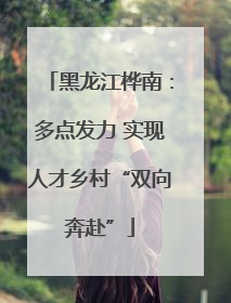 黑龙江桦南：多点发力 实现人才乡村“双向奔赴”