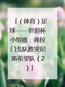 （体育）足球——世俱杯小组赛：弗拉门戈队胜突尼斯希望队（2）
