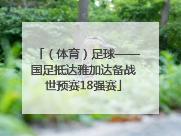 （体育）足球——国足抵达雅加达备战世预赛18强赛