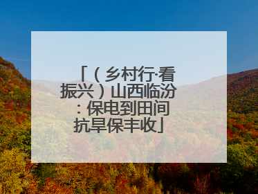 （乡村行·看振兴）山西临汾：保电到田间 抗旱保丰收