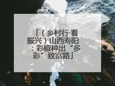 （乡村行·看振兴）山西寿阳：彩椒种出“多彩”致富路