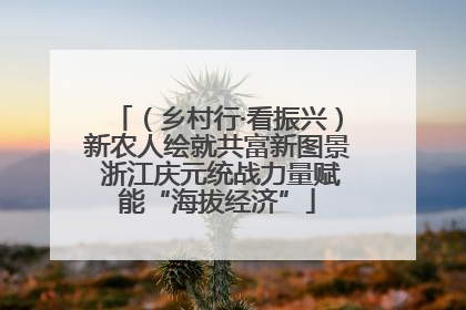 （乡村行·看振兴）新农人绘就共富新图景 浙江庆元统战力量赋能“海拔经济”