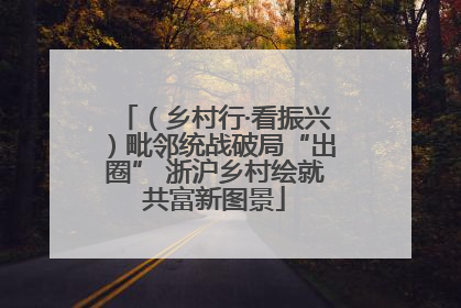 （乡村行·看振兴）毗邻统战破局“出圈” 浙沪乡村绘就共富新图景