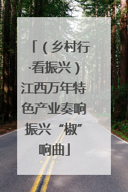 （乡村行·看振兴）江西万年特色产业奏响振兴“椒”响曲