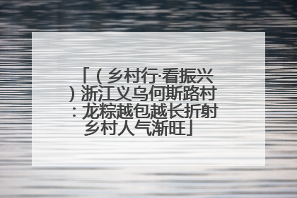 （乡村行·看振兴）浙江义乌何斯路村：龙粽越包越长折射乡村人气渐旺