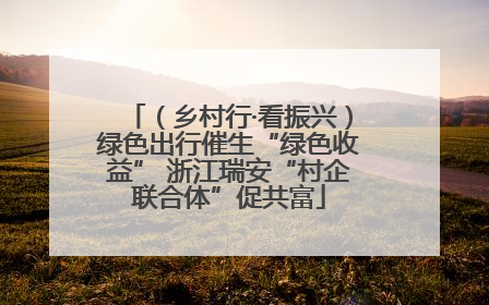 （乡村行·看振兴）绿色出行催生“绿色收益” 浙江瑞安“村企联合体”促共富
