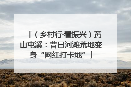 （乡村行·看振兴）黄山屯溪：昔日河滩荒地变身“网红打卡地”