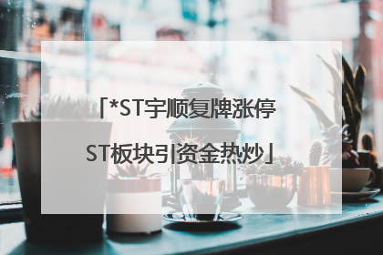 *ST宇顺复牌涨停 ST板块引资金热炒
