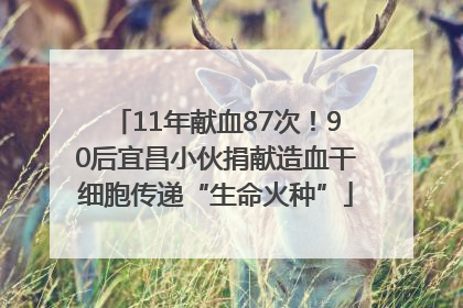 11年献血87次！90后宜昌小伙捐献造血干细胞传递“生命火种”