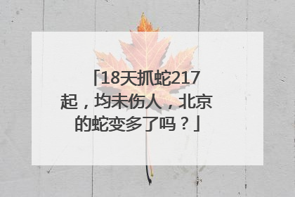 18天抓蛇217起，均未伤人，北京的蛇变多了吗？