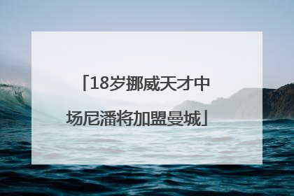18岁挪威天才中场尼潘将加盟曼城