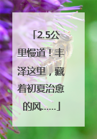 2.5公里慢道！丰泽这里，藏着初夏治愈的风……