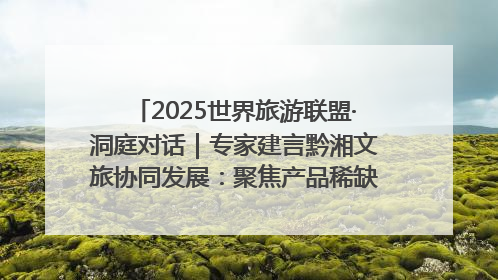 2025世界旅游联盟·洞庭对话｜专家建言黔湘文旅协同发展：聚焦产品稀缺性 深化区域经验共享