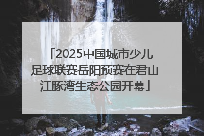 2025中国城市少儿足球联赛岳阳预赛在君山江豚湾生态公园开幕