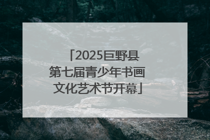 2025巨野县第七届青少年书画文化艺术节开幕