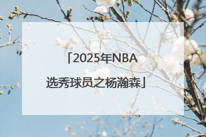 2025年NBA选秀球员之杨瀚森