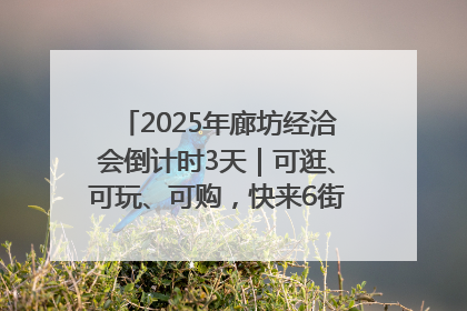 2025年廊坊经洽会倒计时3天｜可逛、可玩、可购，快来6街16巷逛市集