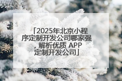 2025年北京小程序定制开发公司哪家强，解析优质 APP 定制开发公司