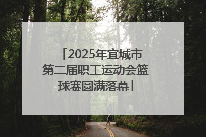 2025年宜城市第二届职工运动会篮球赛圆满落幕