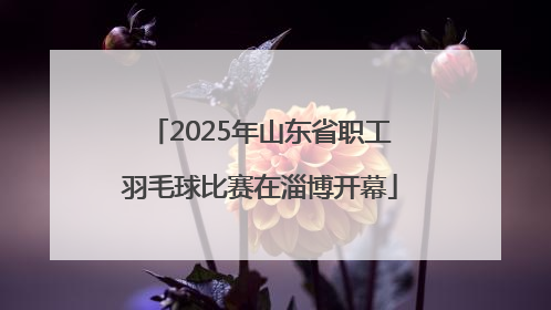 2025年山东省职工羽毛球比赛在淄博开幕