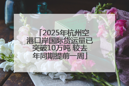 2025年杭州空港口岸国际货运量已突破10万吨 较去年同期提前一周