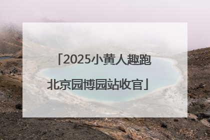 2025小黄人趣跑北京园博园站收官