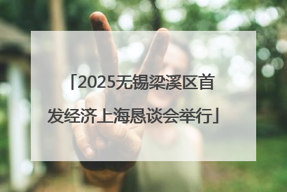 2025无锡梁溪区首发经济上海恳谈会举行