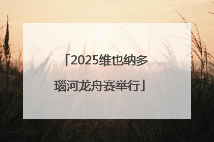 2025维也纳多瑙河龙舟赛举行