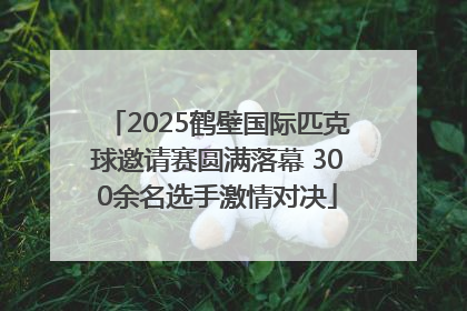 2025鹤壁国际匹克球邀请赛圆满落幕 300余名选手激情对决