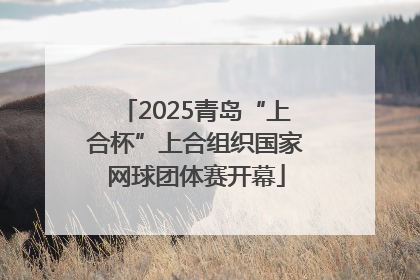2025青岛“上合杯”上合组织国家网球团体赛开幕