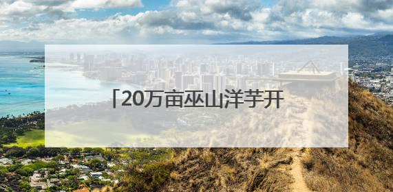 20万亩巫山洋芋开挖 60余名主播齐聚田间直播助农销售
