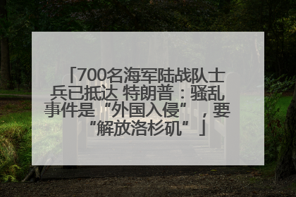700名海军陆战队士兵已抵达 特朗普：骚乱事件是“外国入侵”，要“解放洛杉矶”