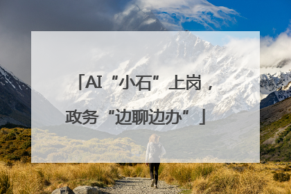 AI“小石”上岗，政务“边聊边办”