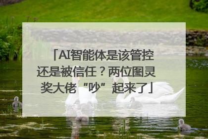 AI智能体是该管控还是被信任？两位图灵奖大佬“吵”起来了