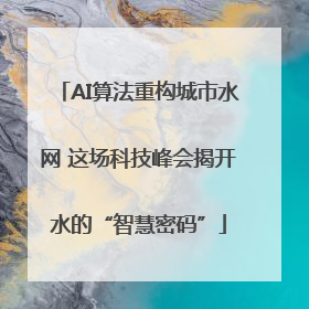 AI算法重构城市水网 这场科技峰会揭开水的“智慧密码”
