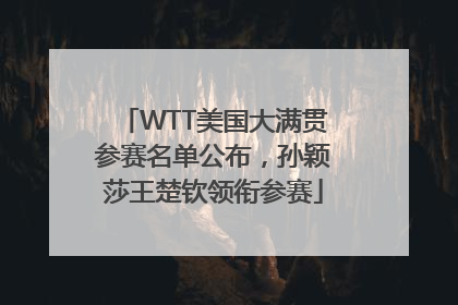 WTT美国大满贯参赛名单公布，孙颖莎王楚钦领衔参赛